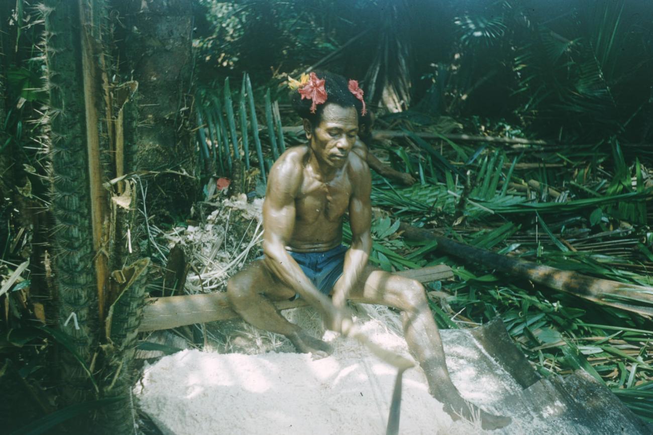 BD/209/4069 -
Sago-cultures