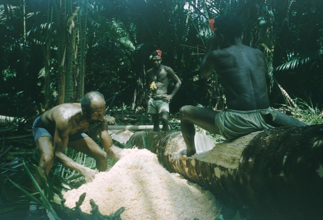 BD/209/4070 -
Sago-cultures