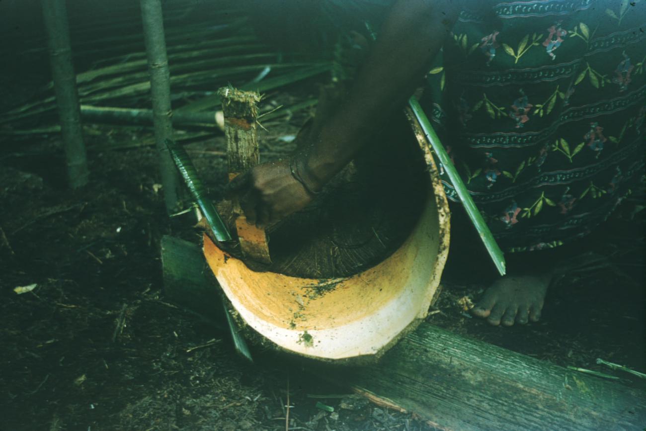 BD/209/4072 -
Sago-cultures