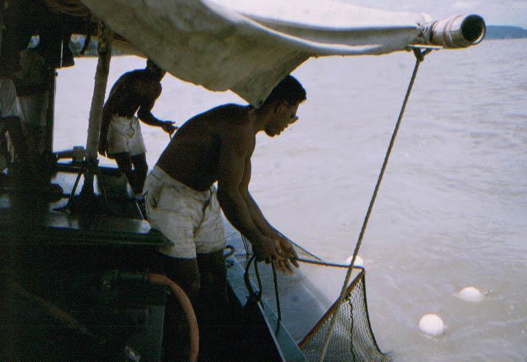 BD/209/5117 - 
Vervoer per boot
