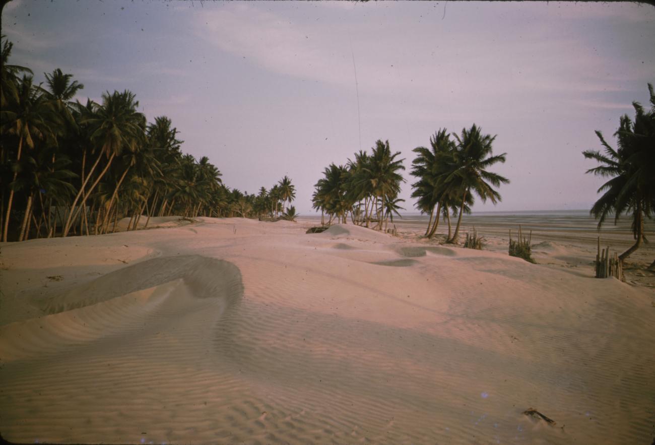 BD/209/9109 -
Merauke