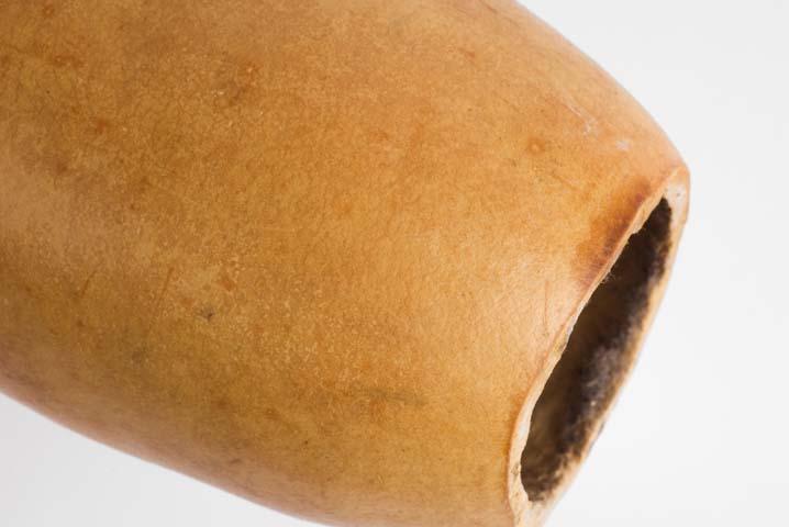 EA/287/1 -
penis sheath