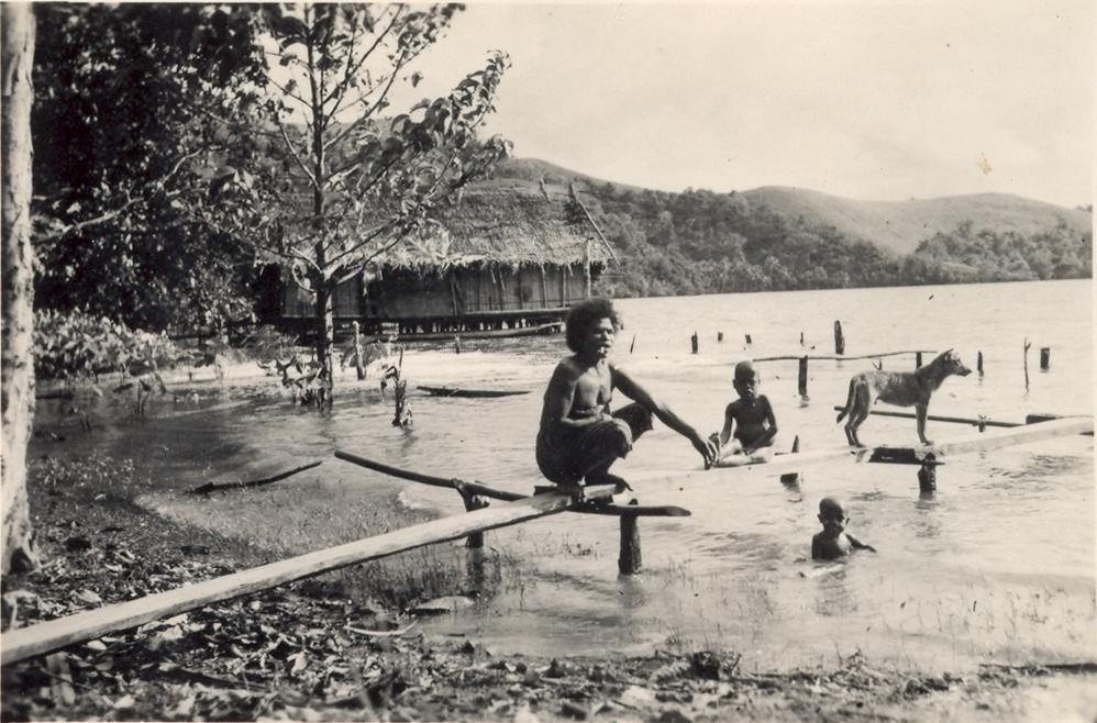 BD/308/19 - 
Sentani
