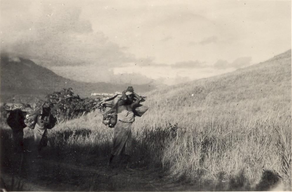 BD/308/21 - 
Sentani
