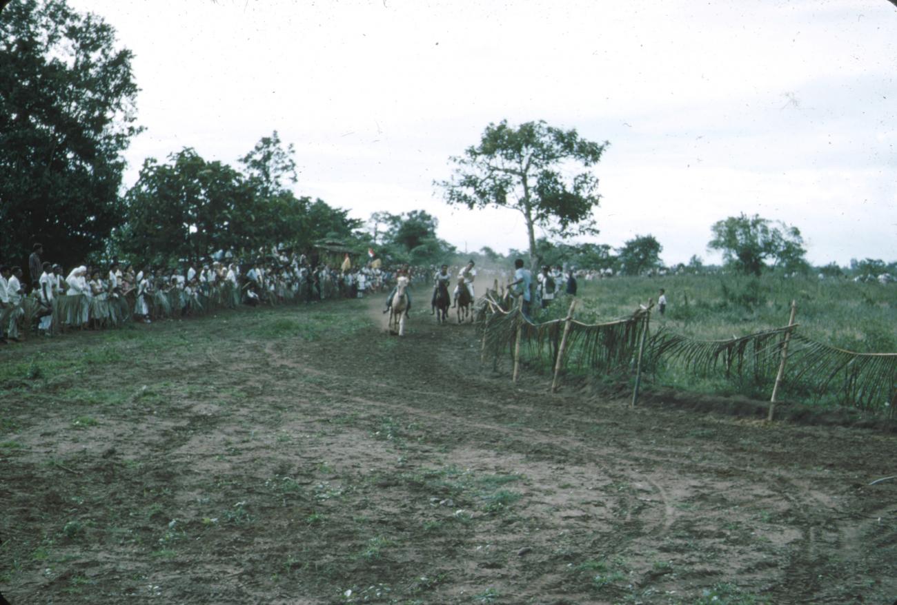 BD/288/139 - 
Paardenrace
