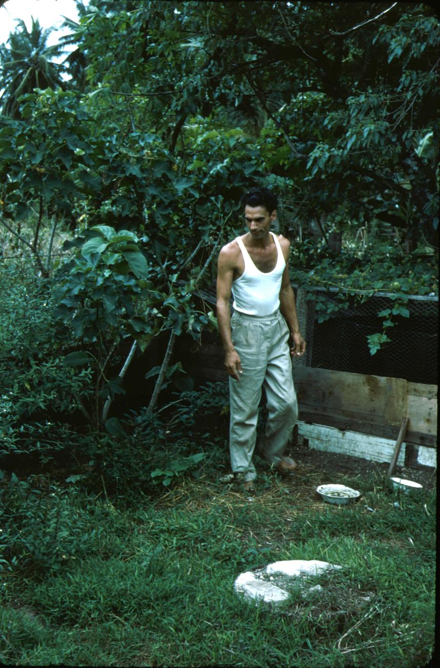 BD/288/161 - 
Man in een tuin
