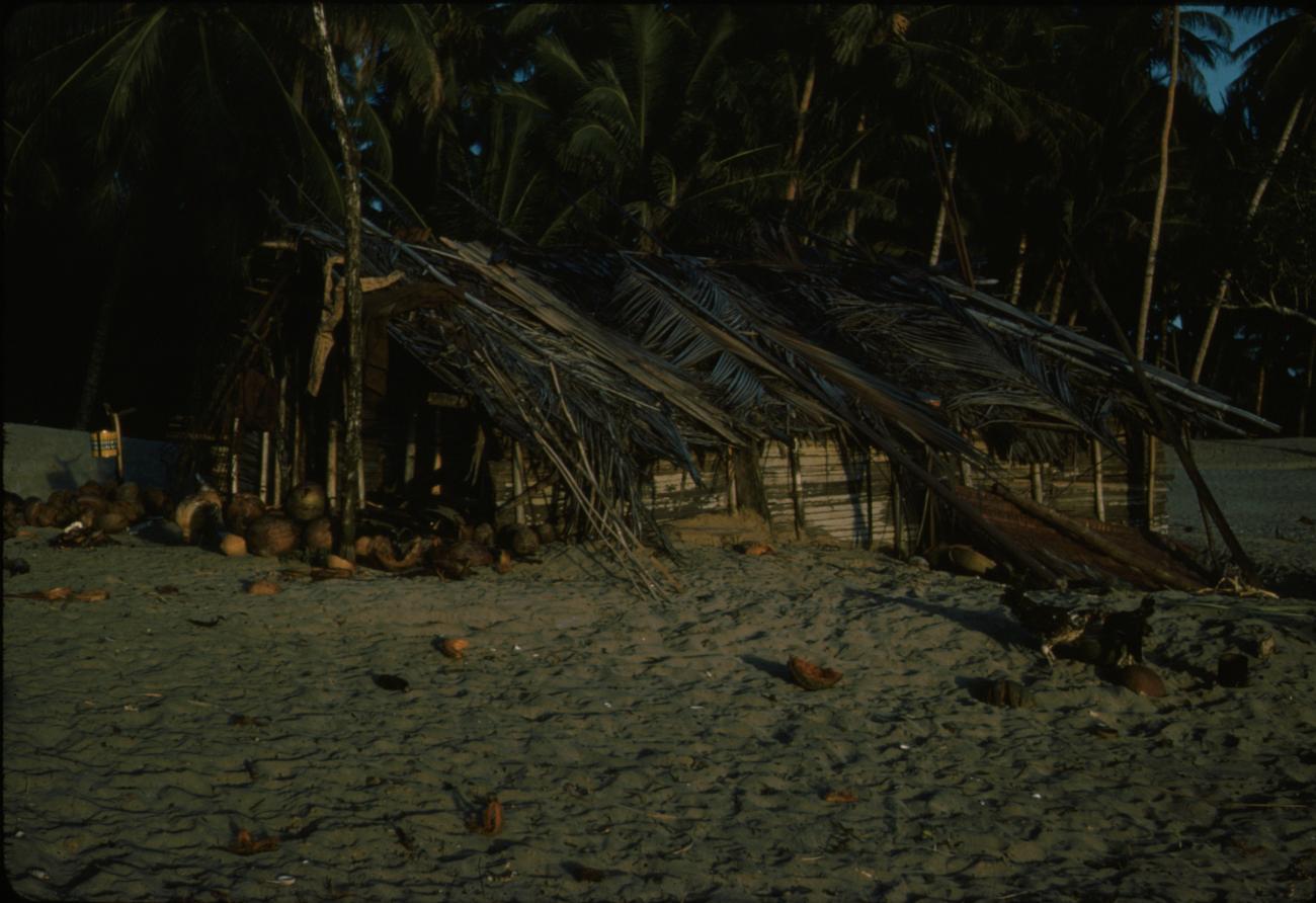 BD/288/44 - 
Strandhut 
