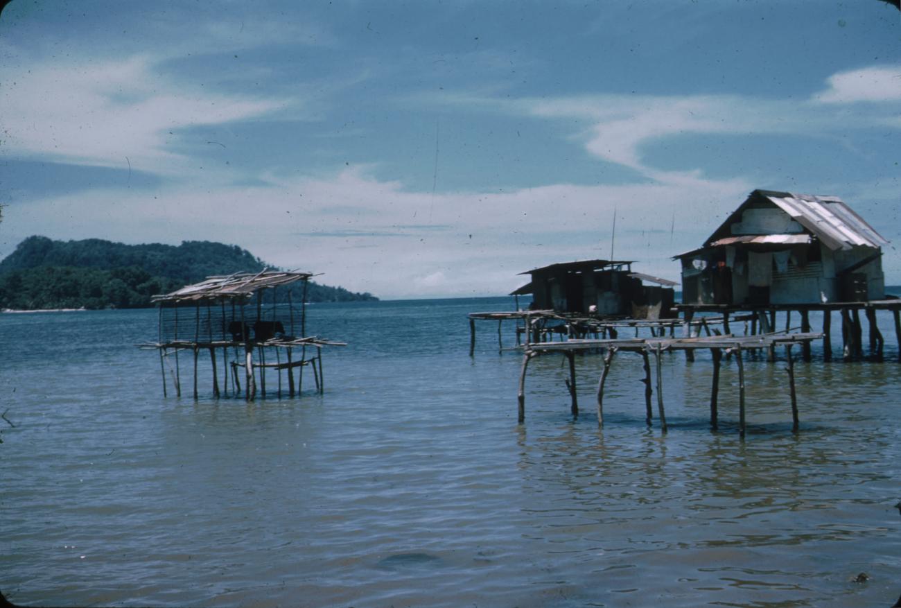 BD/288/80 - 
Paalhutten in baai
