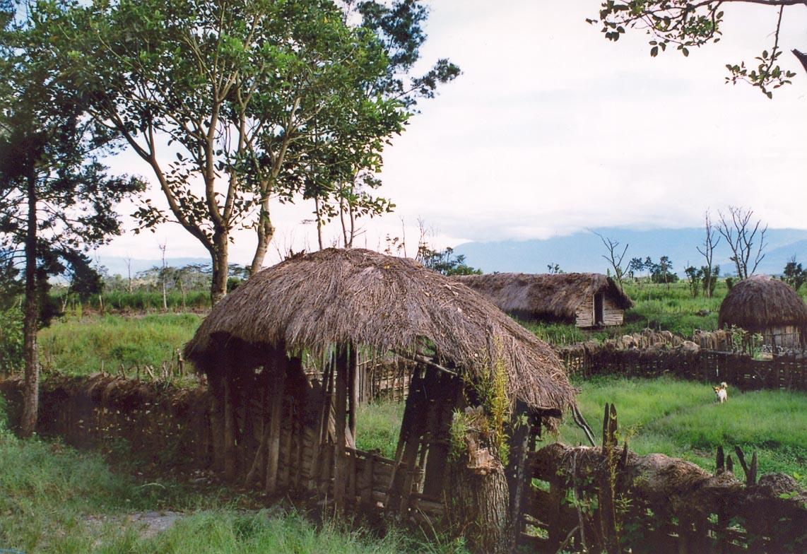 Eigenaar | Stichting Papua Erfgoed