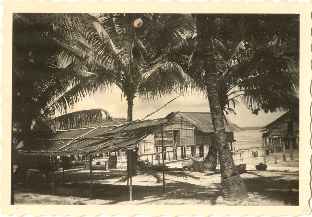 BD/84/2 - 
Kampongwoning in Mokmer, Biak.
