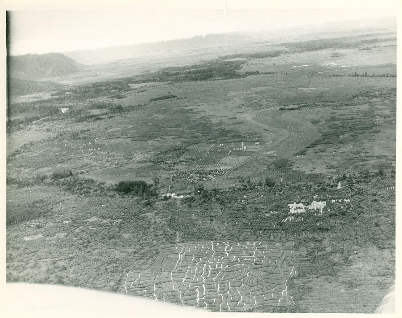 BD/23/4 - 
Aerial photoraph of garden terraces and a large settlement
