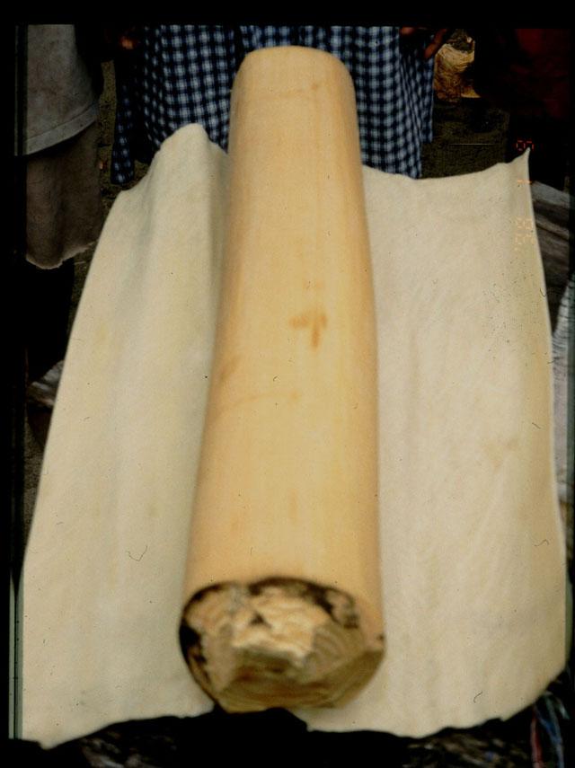 BD/27/2 -
Piece of trunk with beated bark