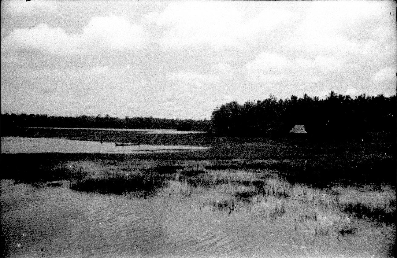 BD/67/241 -
Landschapsfoto van water en riet