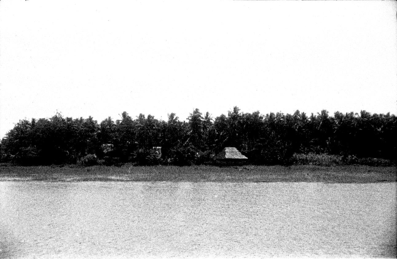 BD/67/242 -
Landschapsfoto van water en oever