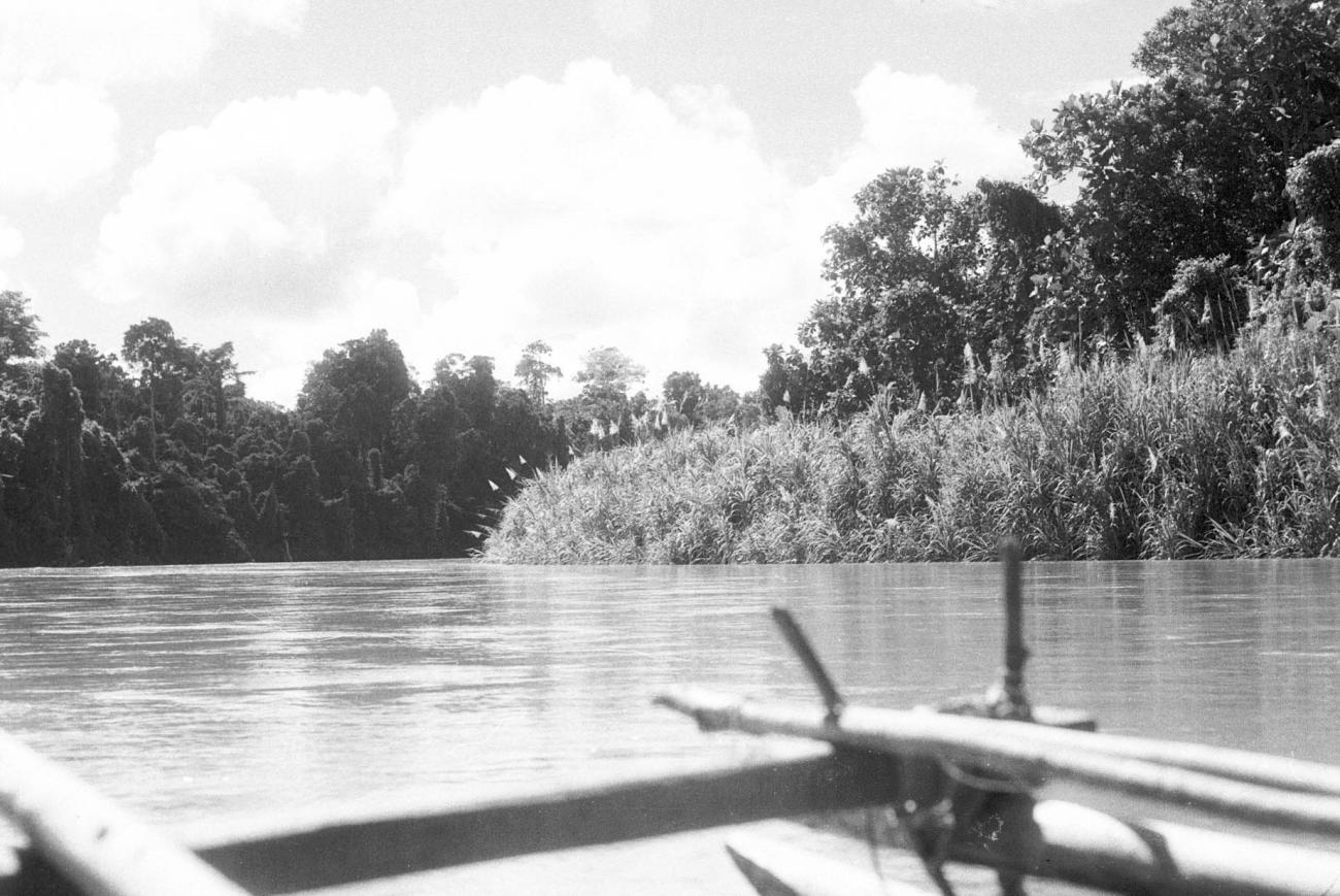 BD/133/105 - 
Sarmi-Hollandia: Opname vanuit een boot over de rivier
