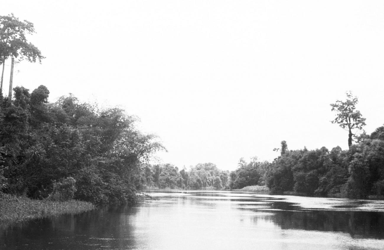 BD/133/230 -
Opname van de rivier met haar oevers
