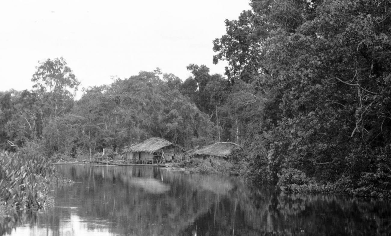 BD/133/54 -
Tocht Merauke-Kapi: Nederzetting aan de rivier
