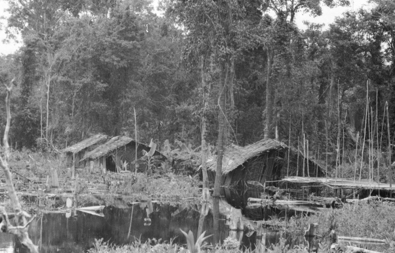 BD/133/59 - 
Trip Merauke-Kapi: Houses on the water
