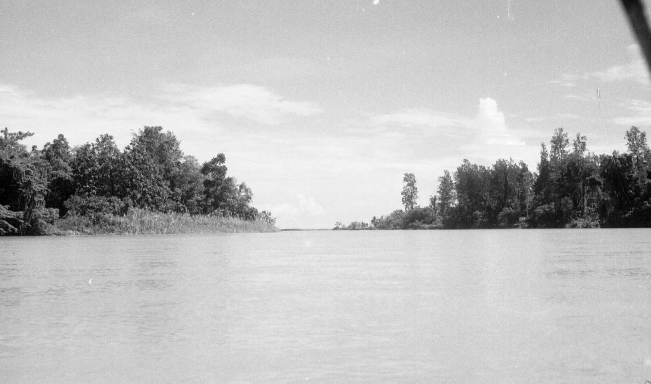BD/133/84 -
Sarmi-Hollandia: View on the river