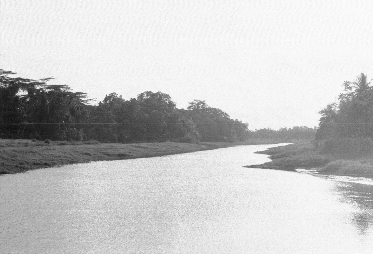 BD/133/864 -
Rivierlandschap met oerwoud