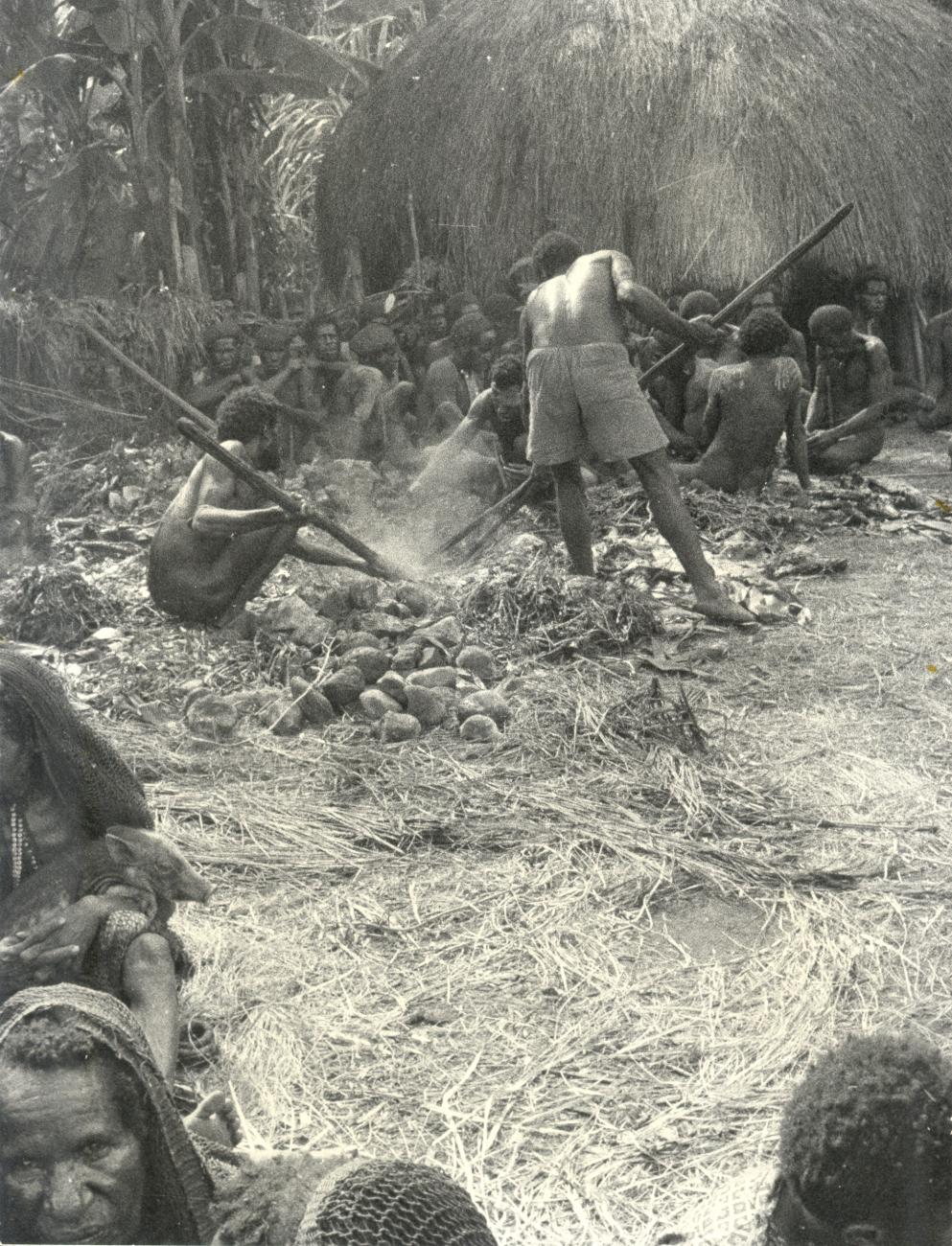 BD/40/12 -
Mountainland inhabitants preparing food in a village during a pig feast