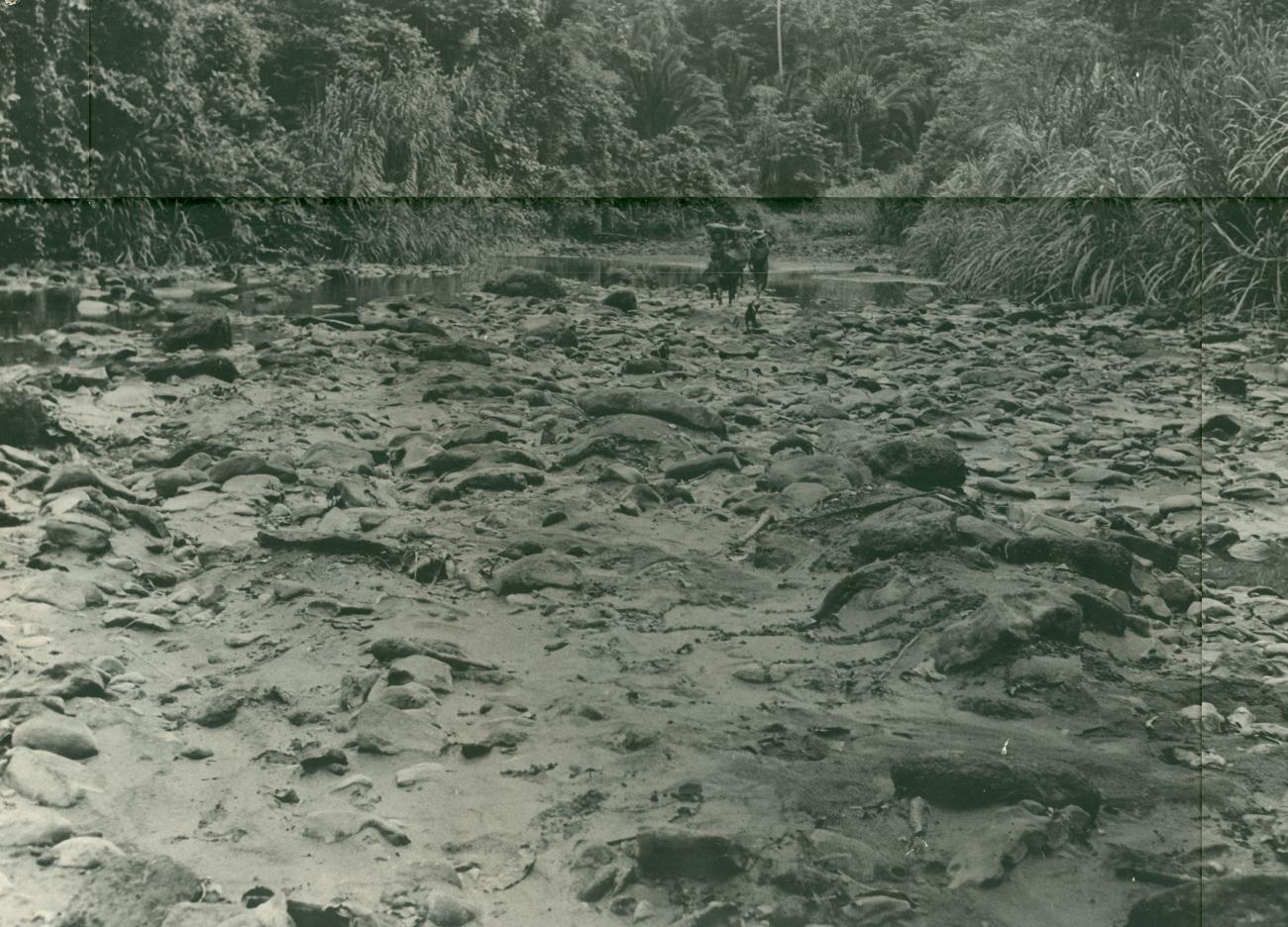 BD/40/93 -
Dried up riverbed