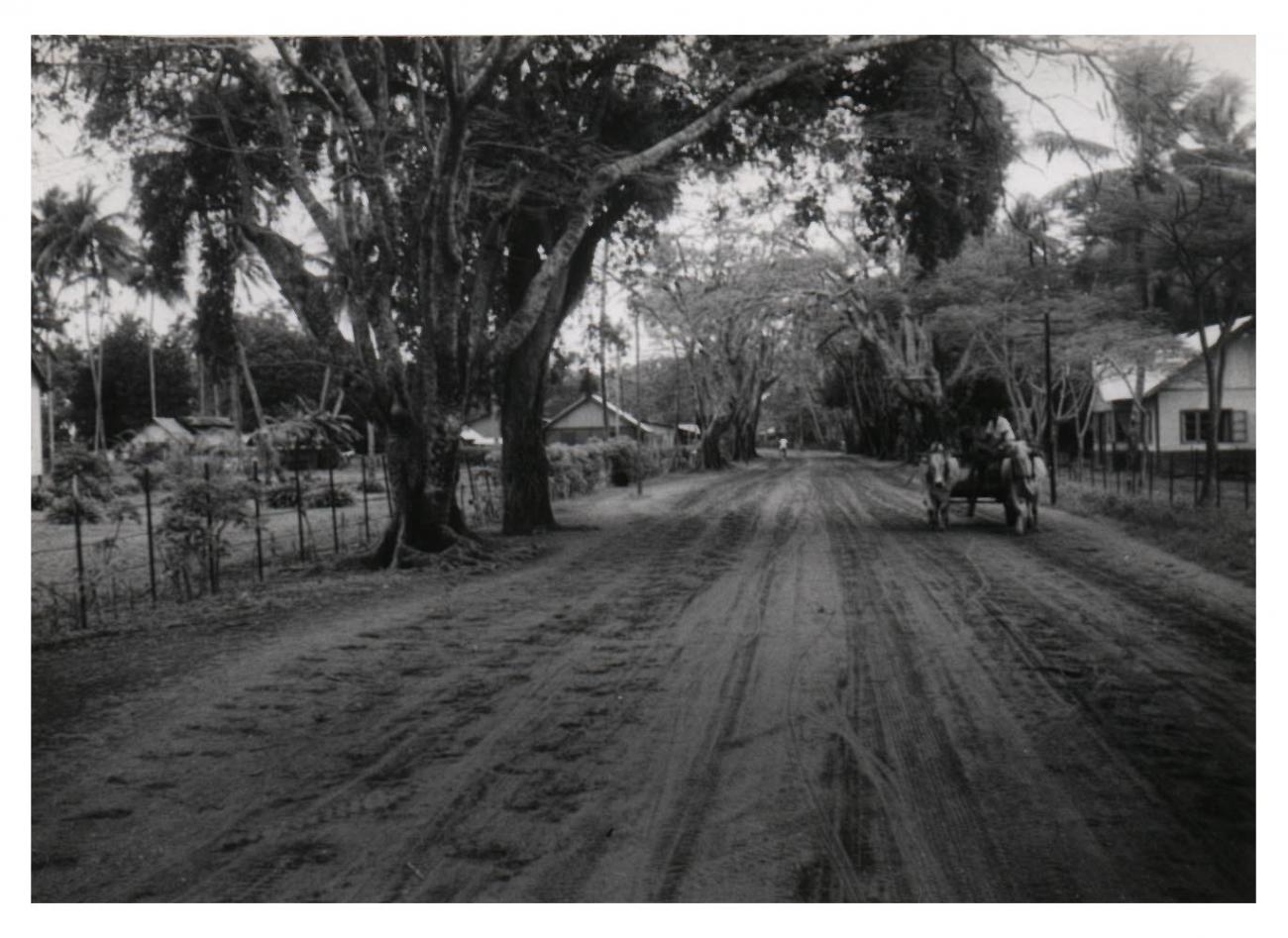 BD/54/39 -
Merauke, unpaved road with cart