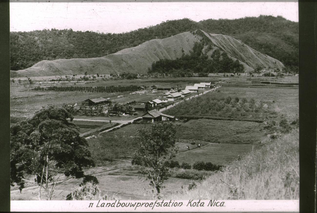 BD/186/118 -
Landbouwproefstation Kota Nica