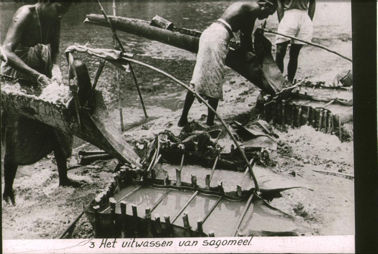 BD/186/24 - 
Uitwassen van sagomeel
