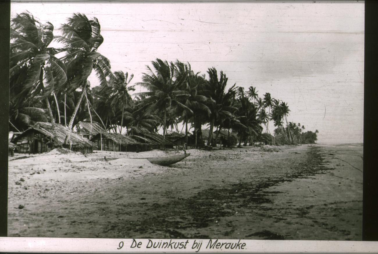 BD/186/82 -
De duinkust bij Merauke