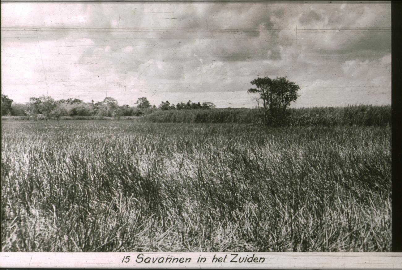 BD/186/83 - 
Savannen in het zuiden

