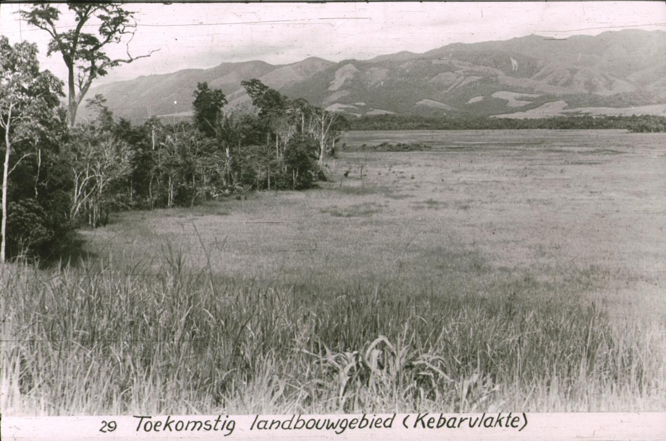 BD/186/91 -
Toekomstig landbouwgebied in de Kebarvlakte, Vogelkop