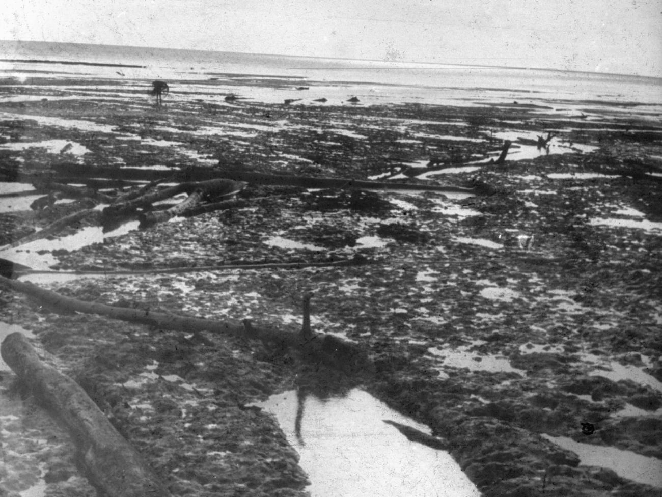 BD/216/104 -
Drooggevallen stuk land bij eb en visser met net op de achtergrond