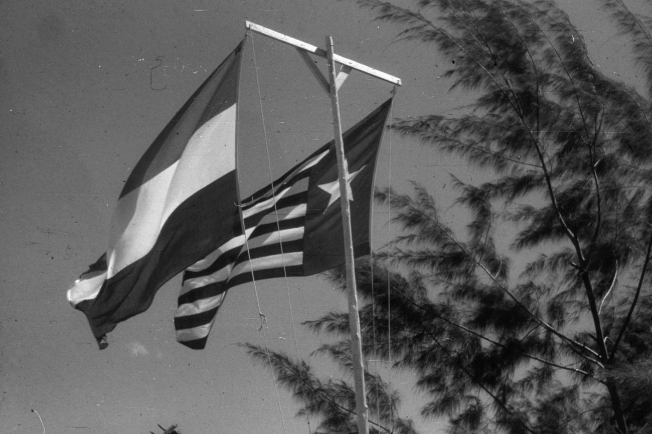 BD/216/293 -
De Nederlandse en Papuavlag aan vlaggenmast