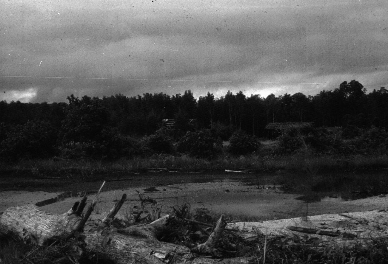BD/216/310 -
Landschap in de Asmat