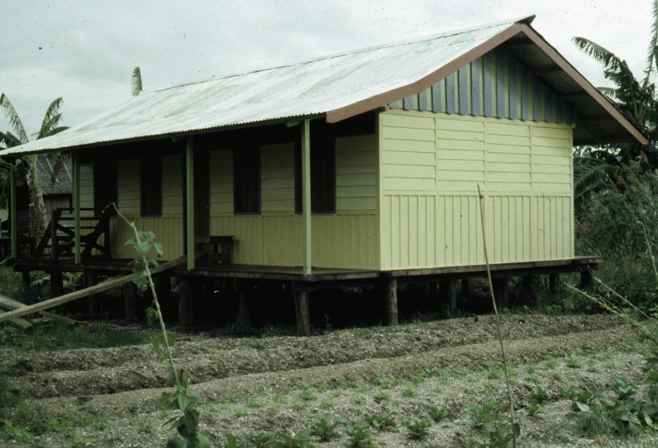BD/216/363 -
Woning in het dorp Basim in de Asmat