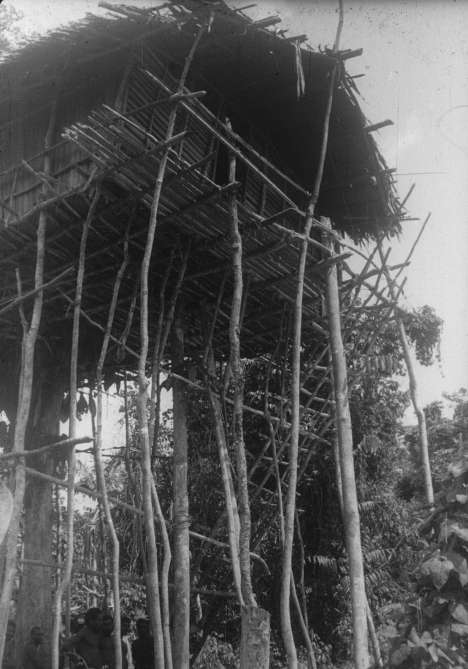 BD/216/9 - 
Traditionele paalwoning
