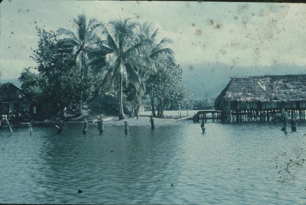 BD/248/203 -
Nederzetting in het water aan de baai bij Hollandia
