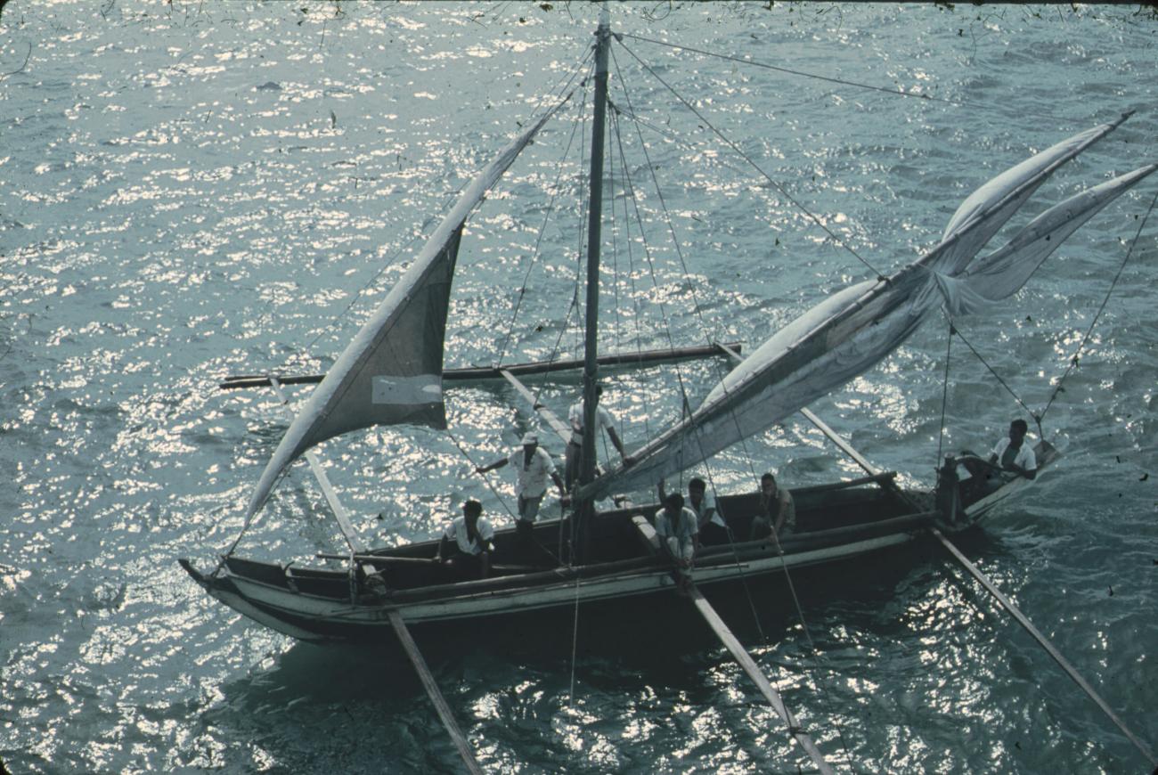 BD/248/220 -
Vlerkprauw op Stille oceaan
