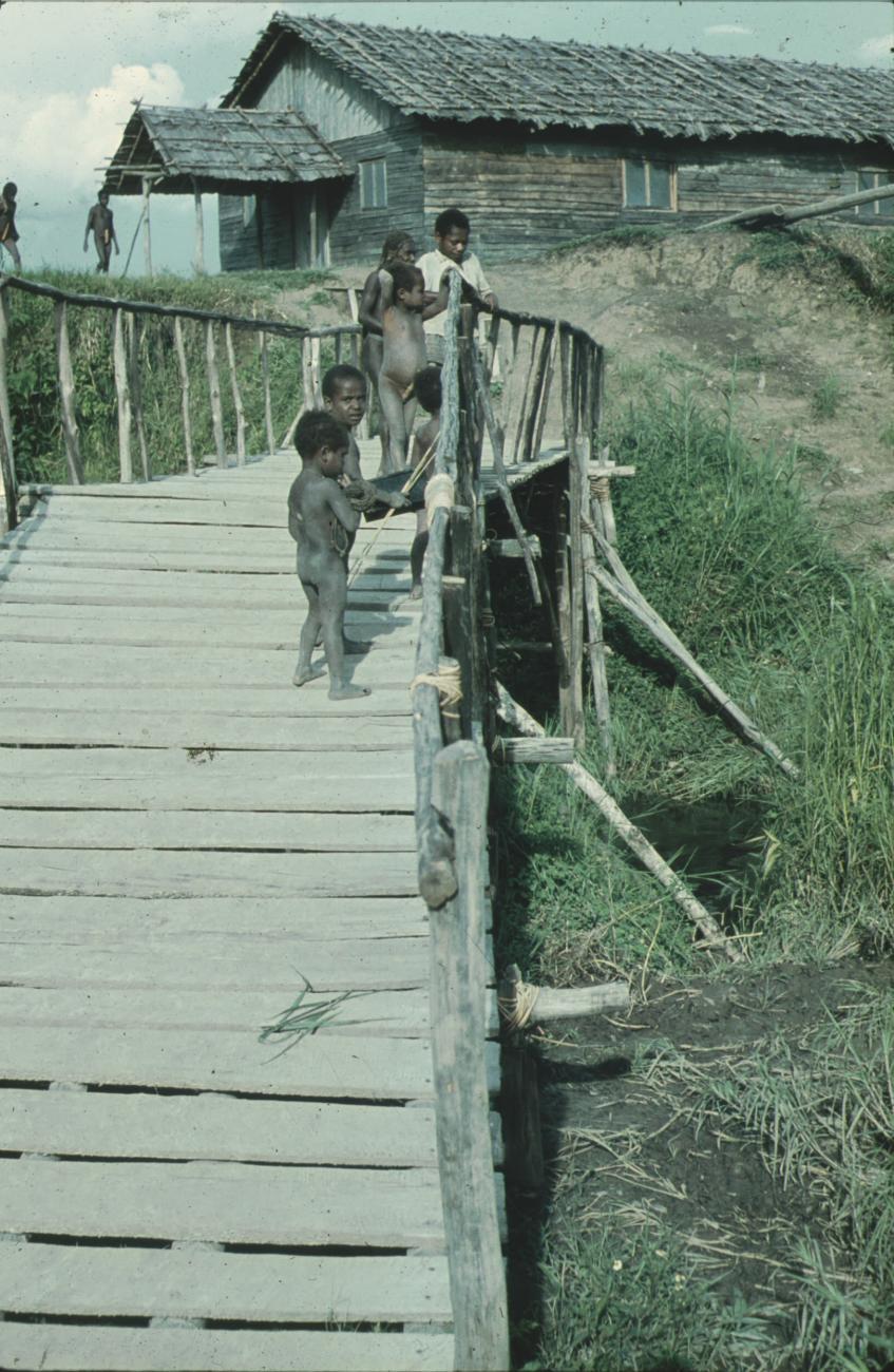 BD/248/264 -
Kinderen op brug (Pineke)