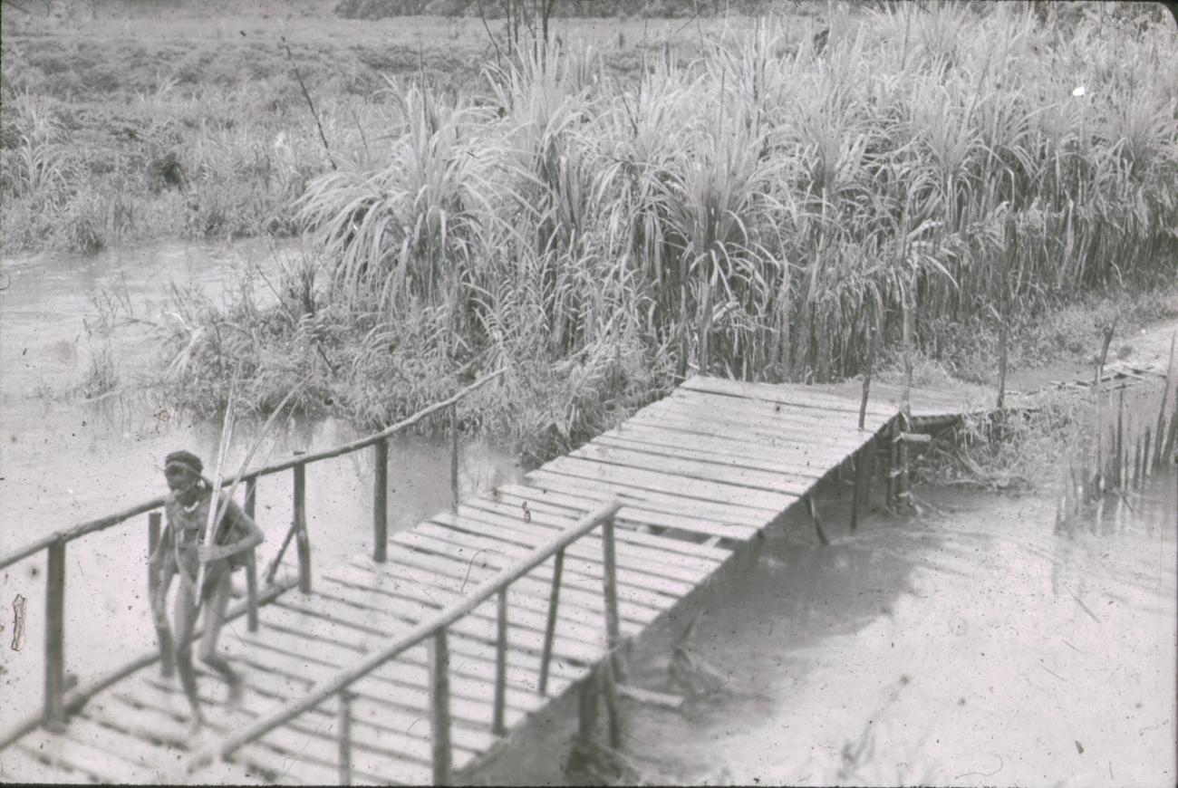 BD/248/35 -
Lopende over een brug over het water