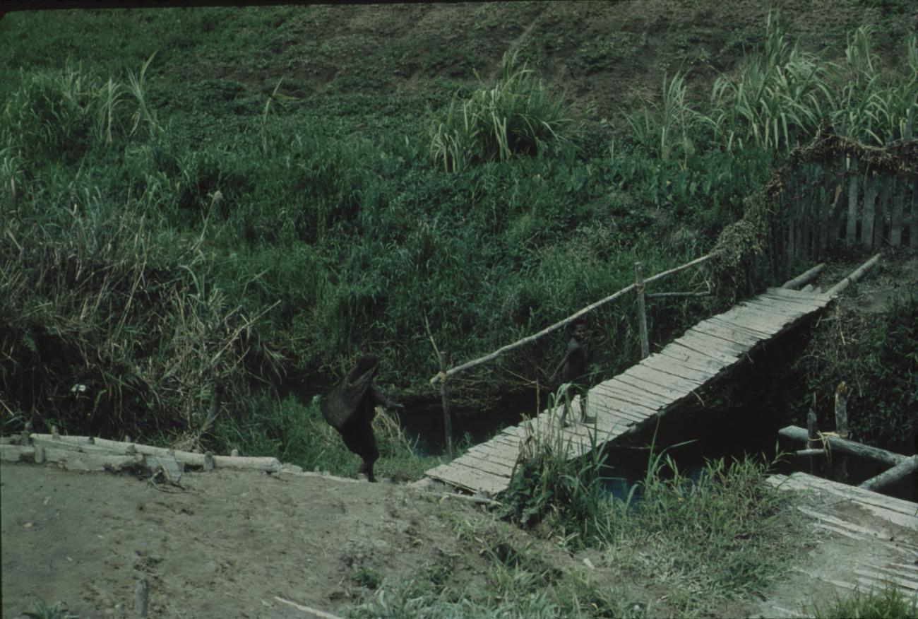 BD/248/37 -
Een brug over het water