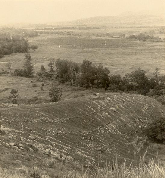 BD/269/24 -
Landschap in de Baliem-vallei