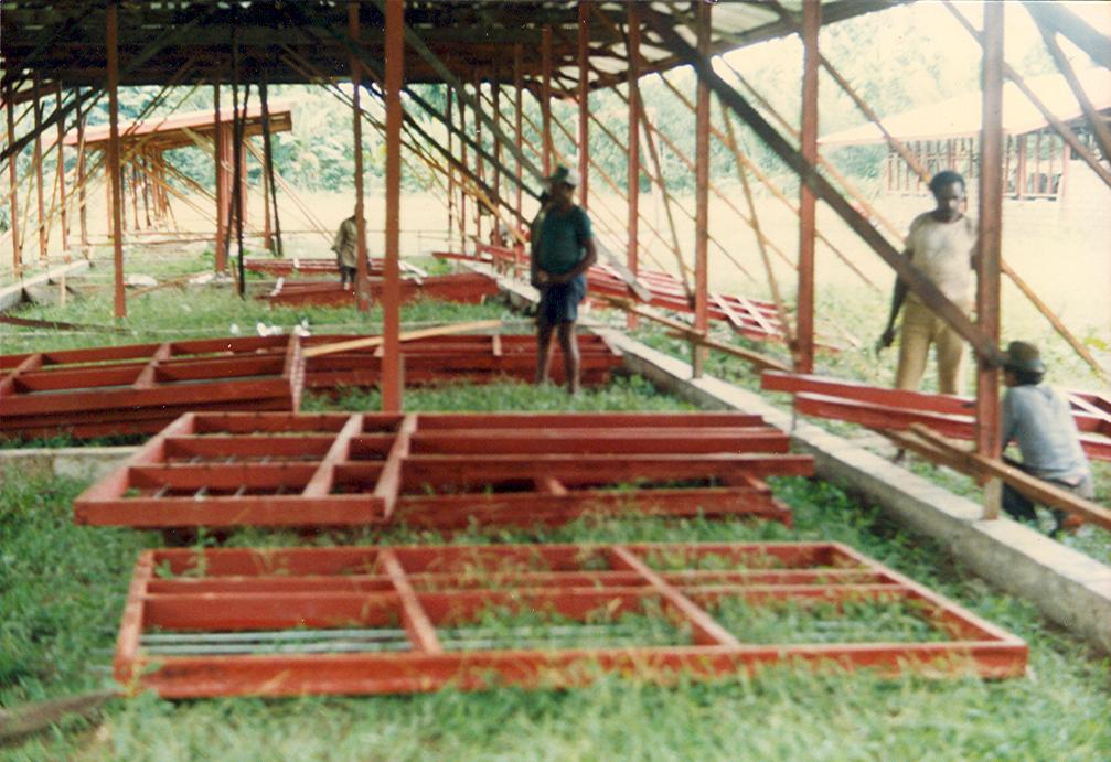BD/269/62 -
Bouw van de nieuwe school in Timika