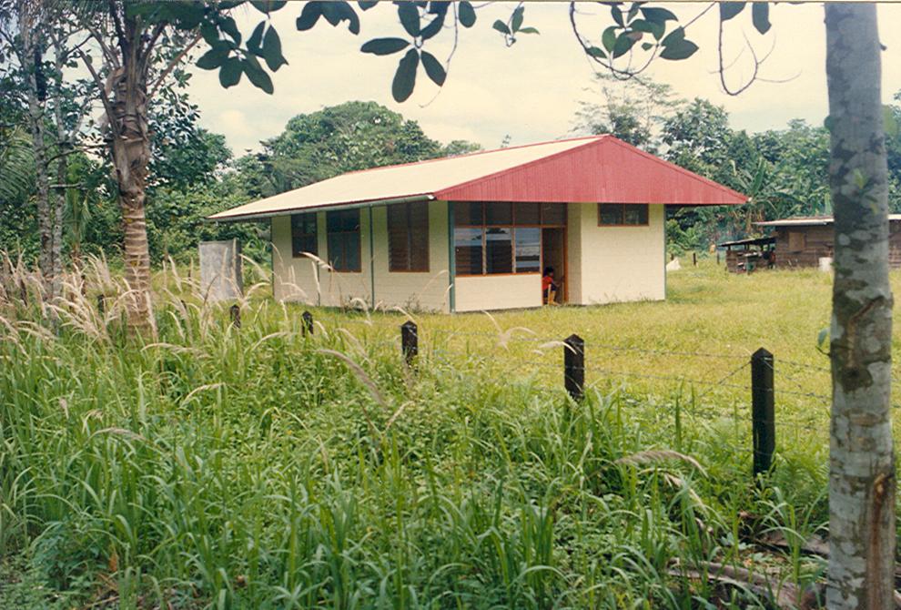 BD/269/87 -
Schilderwerkzaamheden aan de nieuw gebouwde school in Timika