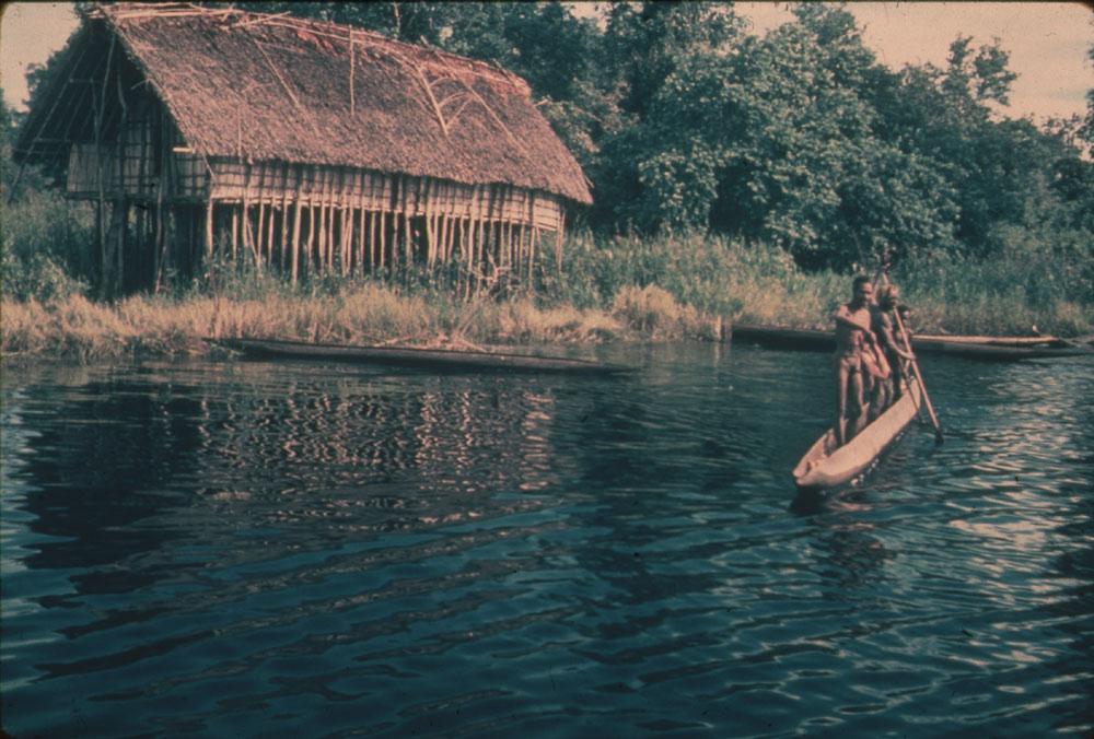 BD/30/1 -
Asmat men sailing on the river in a prow in front of a stilt house on the shore