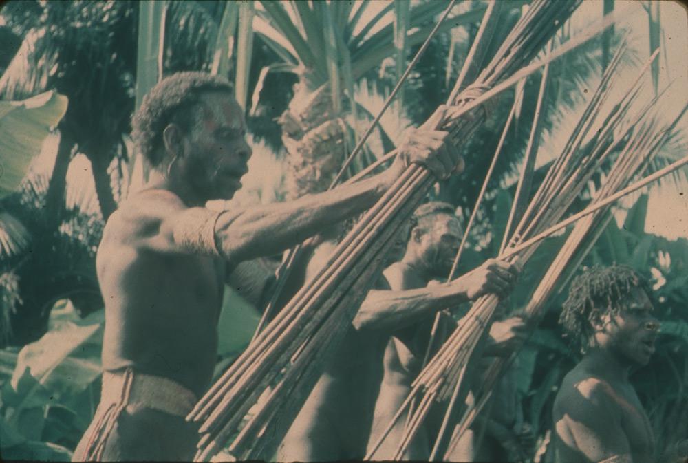 BD/30/31 -
Asmat warriors with bow and arrow
