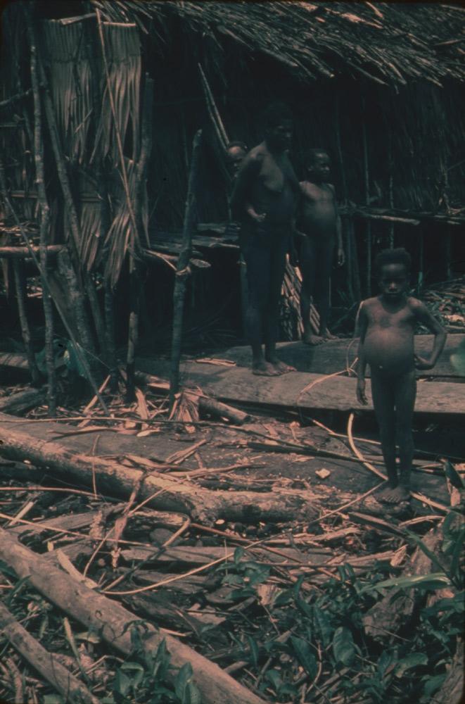 BD/30/4 - 
Asmat woman with children in front of a stilt house
