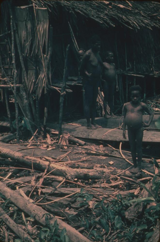 BD/30/4 - 
Asmat woman with children in front of a stilt house
