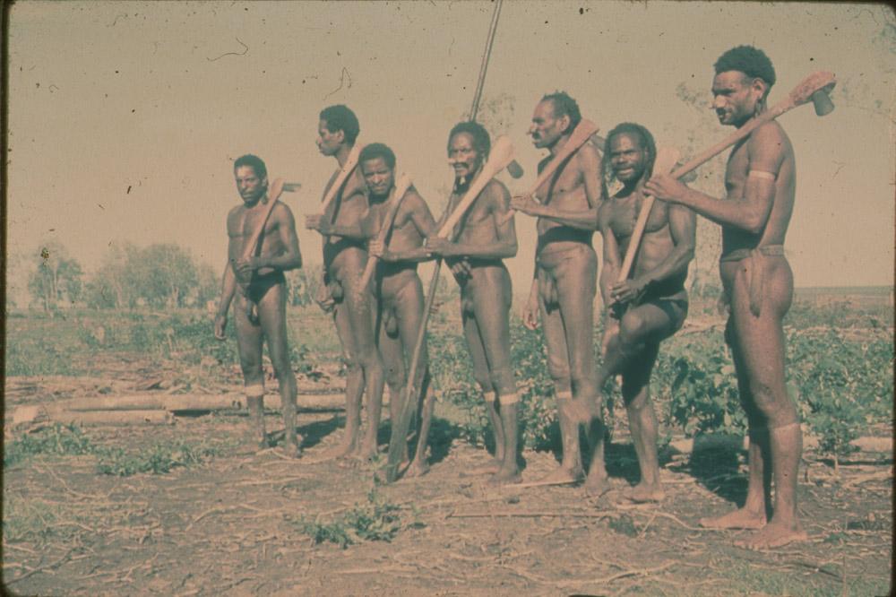 BD/30/56 - 
Groep Asmatmannen met stenen bijlen en een man met speer
